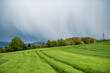 Gewitterwolken mit Regenfahnen an grünem Feld mit Fahrrinnen