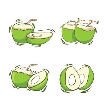 Vector illustration of whole and half green young coconut. 