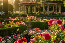 A Romantic Rose Garden In The Late Afternoon Sun Petal