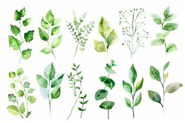 Wall Mural - watercolor greenery collection botanical spring leaves and twigs