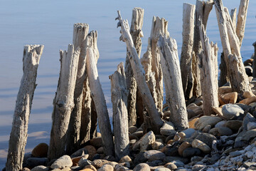 Sticker - Piquets de bois le long du rivage