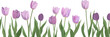 A simple, minimalistic illustration of purple tulips with green foliage on a white background. Greeting card with spring mood