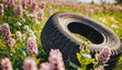 Summer tires on a blooming meadow under the sun. Time for summer tire changing.