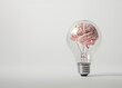 Photorealistic light bulb with pink human brains inside. Brainstorming, artificial intelligence, learning, thinking, creativity, idea concept. White background with copy space.