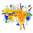 Watercolor composition with honeycombs, wild herbs and bee, with field herbs. Hand painted, illustration isolated on white background for cards