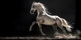 Fototapeta  - Dramatic Rearing Silver White Horse Casting Long Shadows Under Studio Lighting