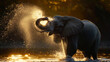 An elephant spraying water with its trunk during a sunset, creating a backlight spray effect.
