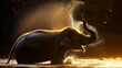An elephant spraying water with its trunk during a sunset, creating a backlight spray effect.
