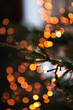foto in tema natalizio che mostra da vicino il ramo di un albero di pino e lo sfondo con luci color arancione, sfuocate ed effetto bokeh