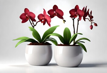 Wall Mural - flower in a vase