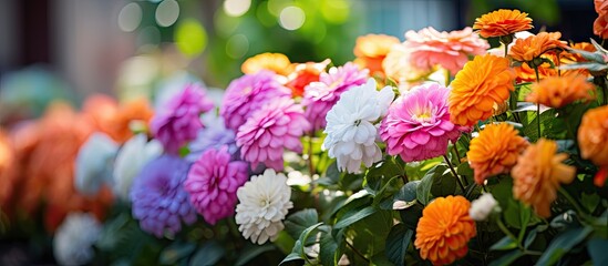 Canvas Print - Colorful blooms line garden path