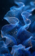 Closeup photo of jellyfish swimming in blue waters of ocean.