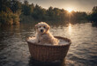 A puppy dog rests in a basket gently floating along the river, Generative AI