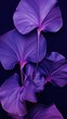 High contrast Botanical purple violet blue.