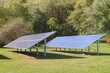 Rows of a solar panels in a garden surrounded by trees  on a sunny fall day