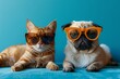 British Shorthair cat and pug dog side by side in sunglasses, showcasing a blend of cool attitude and interspecies friendship