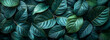 Abstract green leaf texture, nature background, tropical leaf.