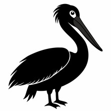 Pelican Silhouette Vector Illustration