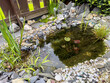 garden pond in the spring with nature stones