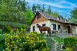 horses near a rural house in a blooming garden in spring. Ukraine.