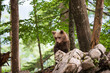 A young bear climbs a boulder in the forest