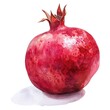 A delicate watercolor painting of a pomegranate, rendered in shades of red and pink