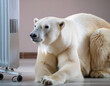 white polar bear sits in the middle of the living room and looks at the air conditioner. A bear cools down under the cold air of an air conditioner while imagining the North Pole
