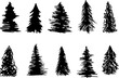 Collection of hand-drawn Christmas trees. Isolated decoration elements.
