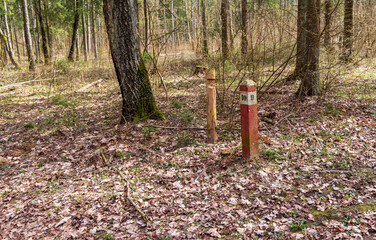 Red pole in the forest marking borders of the territory. Concept