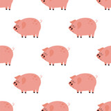 Fototapeta  - seamless pattern with pig