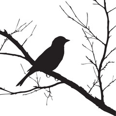 Poster - bird on a branch