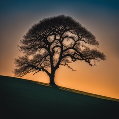 Sticker - a tree in the fields field