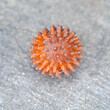 One Old Used Rubber Ball With Spikes at Street