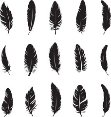 Poster - collection of feathers