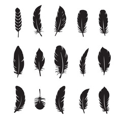 Poster - set of feathers