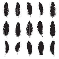 Poster - set of feathers illustration