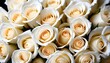 © Lied - White roses multitude close-up view