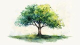 Fototapeta Sport - Green tree on a white background. Watercolor painting.