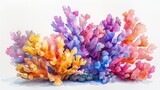 Fototapeta Przestrzenne - Colorful coral on white background.