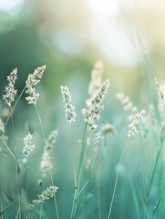 Sticker - Tranquil Meadow Wallpaper with Soft Focus Blurred Grass and Foliage for Peaceful Background