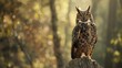 the owl’s mesmerizing presence and the magical quality of the golden forest setting, The Owl’s Mystical Forest Watch. Generative AI
