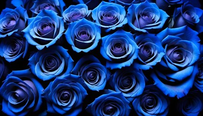 Wall Mural - Silk beautiful blue fresch roses multitude macro