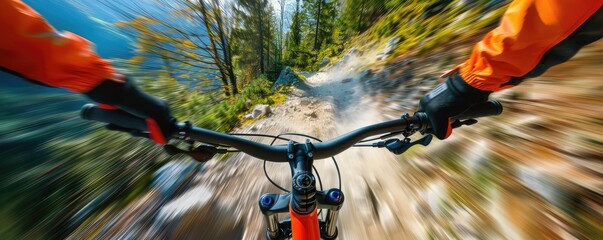 Wall Mural - A fast downhill on the bicycle in the mountain valley from bikers view.