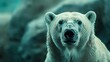 a polar bear amidst a rocky terrain, Majestic Polar Bear Amidst the Rocks. Generative AI