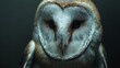  the close-up view of the barn owl. Generative AI