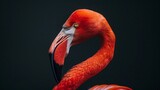 Fototapeta  - The Majestic Flamingo: A Portrait in Vibrant Hues. Generative AI