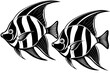 Set of Angel fish vector silhouette an white background 