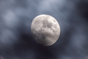 Wall Mural - the moon against the background of clouds.