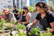 © mikeosphoto - Urban gardening workshop on a sunny rooftop. Diverse group of people of different ages and ethnicities planting herbs and small vegetables in recycled containers