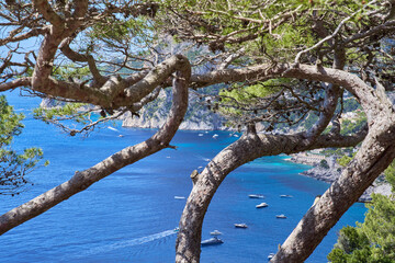 Wall Mural - The coastline of the island of Capri from Belvedere Tragara, Campanian Archipelago, Italy